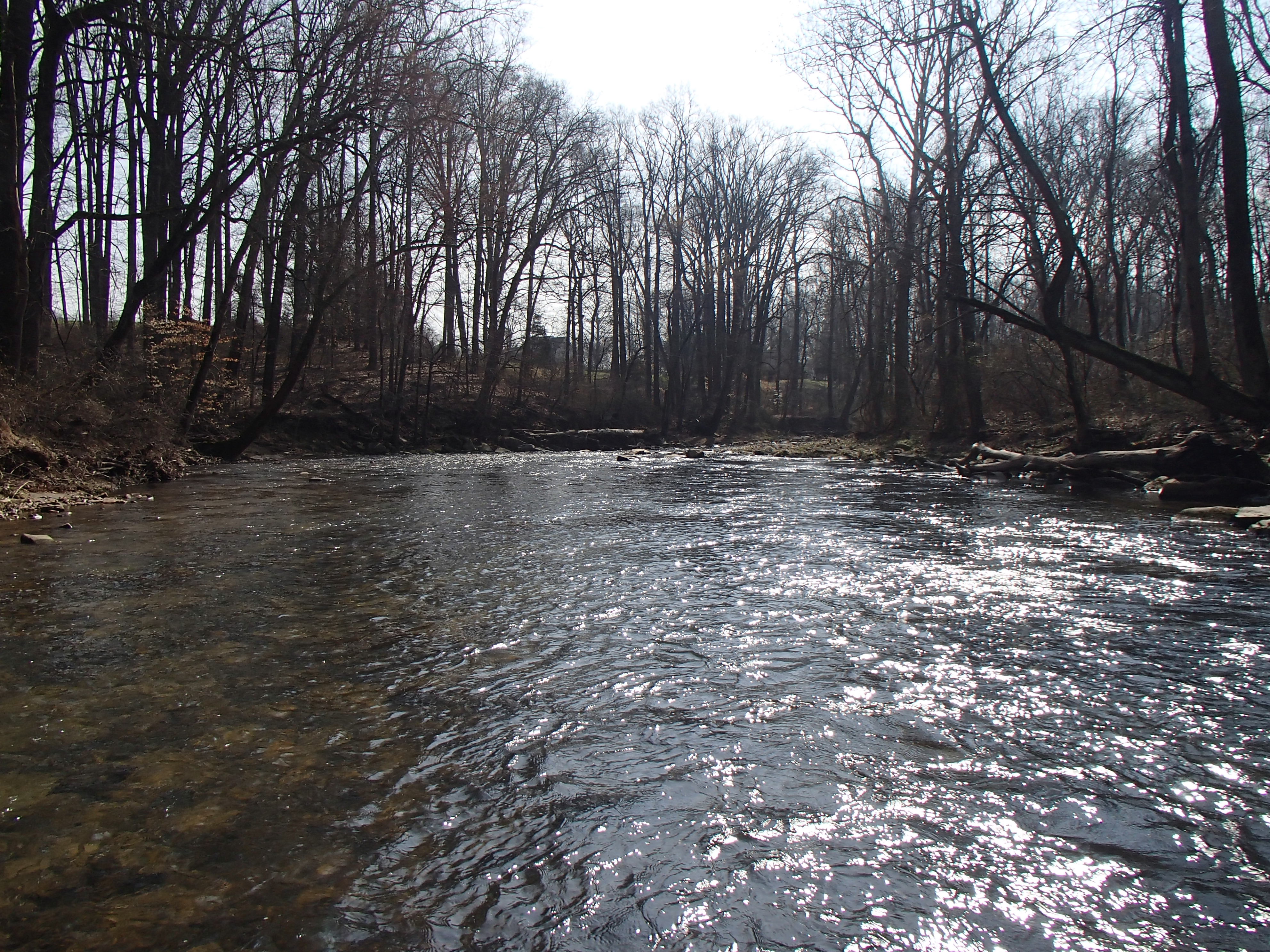 Field photo showing stream conditions at site BELK-305-R-2016_midpoint downstream
